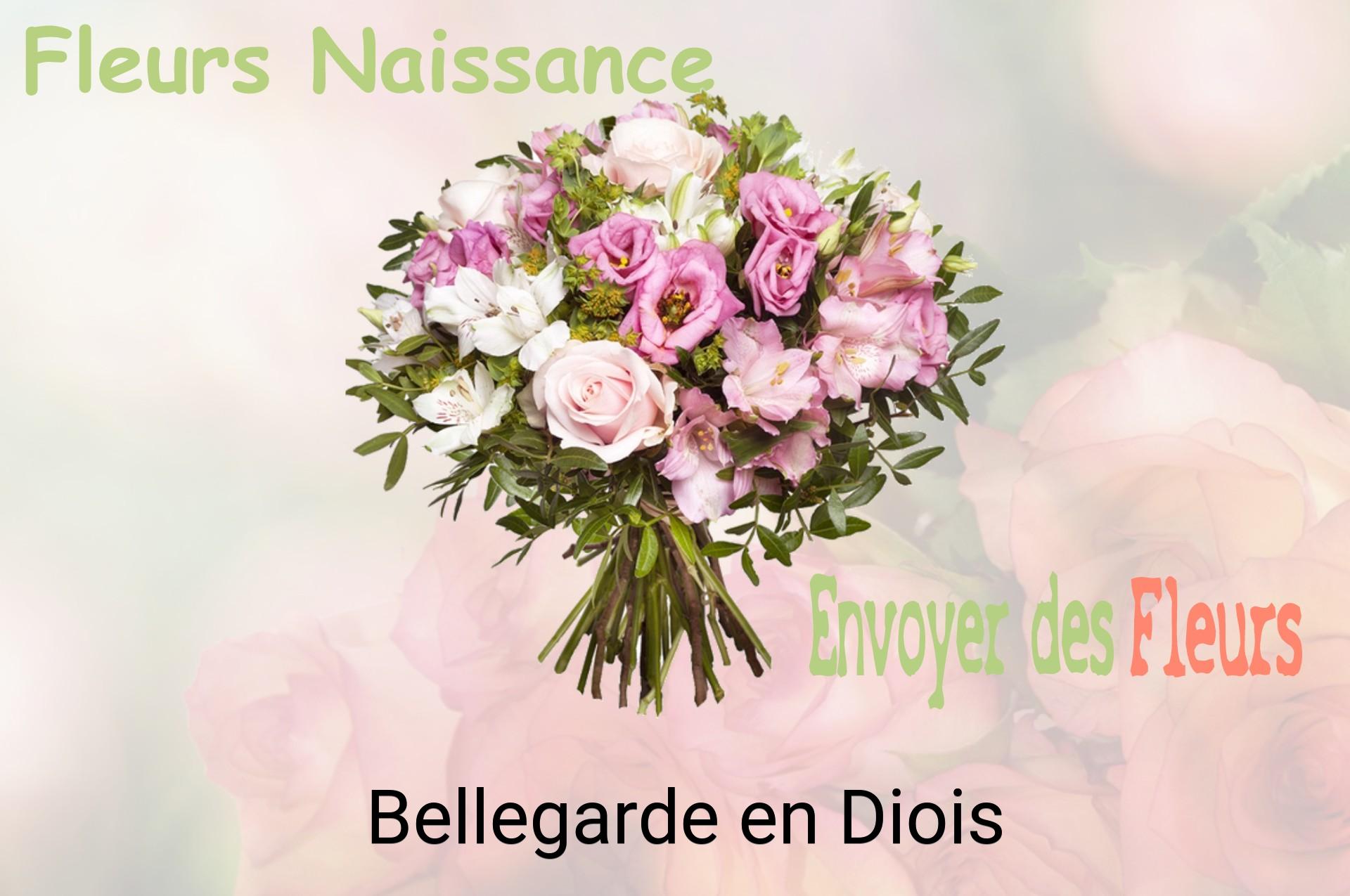 Bouquet de fleurs de naissance livré à Bellegarde-en-Diois